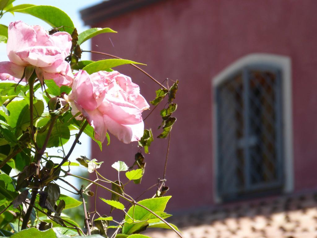 L'Orto Dei Semplici Guest House Mascali Exterior photo